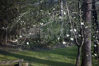LL Rue Image rue_080421_1277.jpg