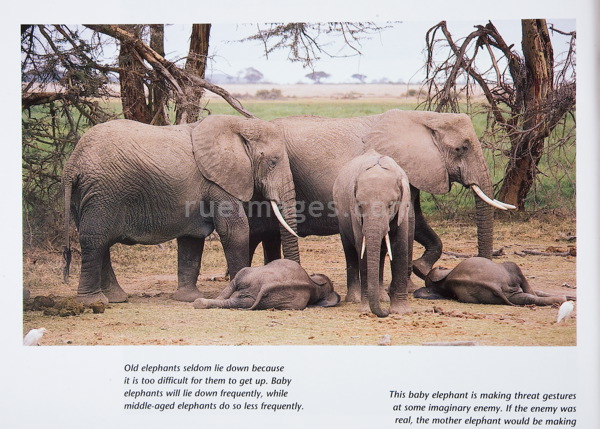 rue_080315_9046.jpg