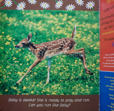 rue_080406_0858.jpg