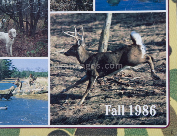 rue_080313_8204.jpg