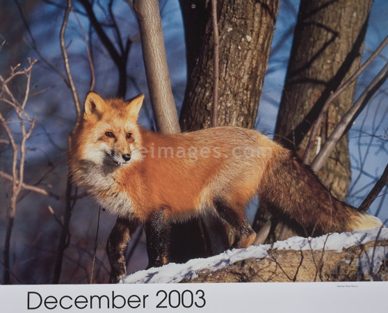 rue_080317_9727.jpg